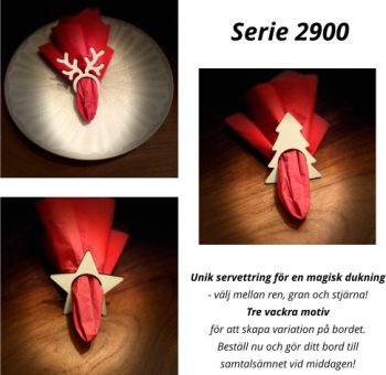 2900 Servettring